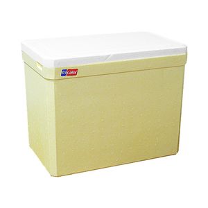 Caixa Gelad Fricalor C/Alc 24l 2024 (5)