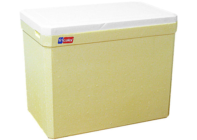 CAIXA-GELAD-FRICALOR-C-ALC-24L-2024