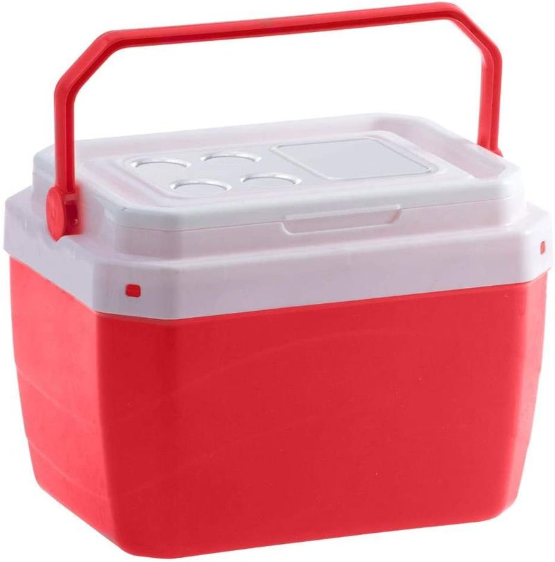 CAIXA-TERMICA-PARAMOUNT-40L-VM-855