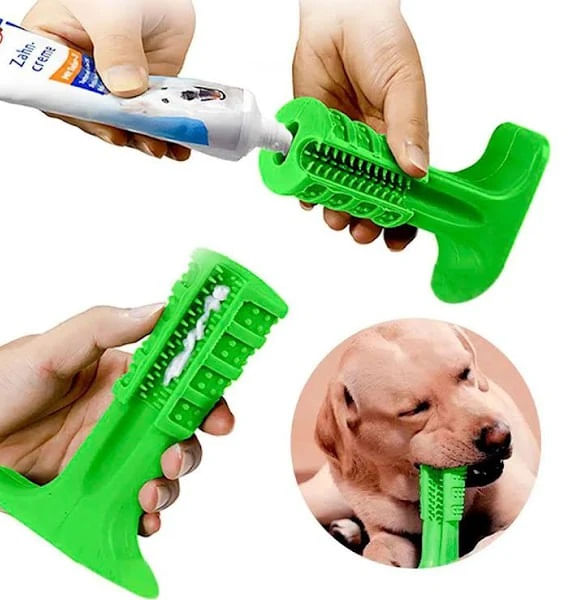 PET-MORDEDOR-ESCOVA-DENTAL-CB2267