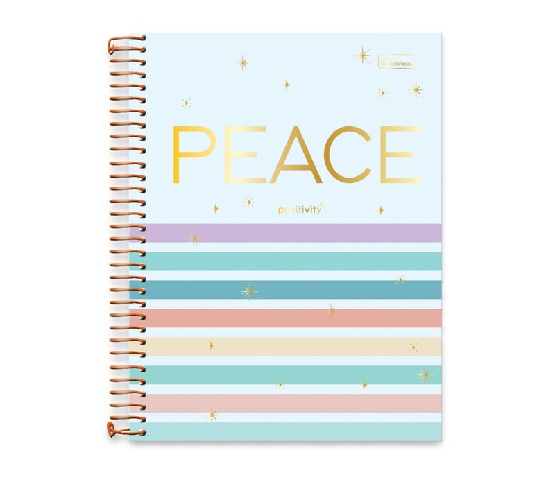 CADERNO-CD-POSITIVITY-15X1-240F-0333004