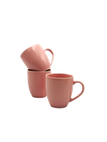 CANECA-PB-ORG-MD-RS-11346105901